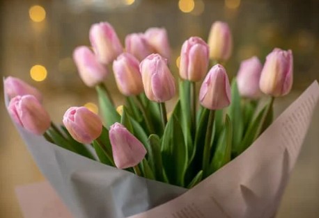 ファイル 801-1.jpg